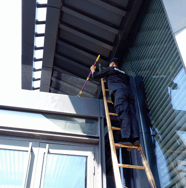 6.gif